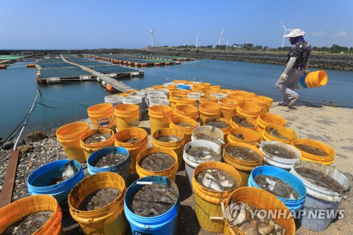 韩国究竟有多热？鸡蛋放阳台孵出小鸡养殖场鱼大面积死亡