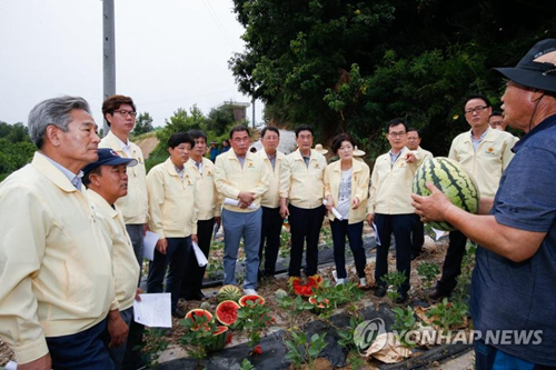 韩国高温致蔬菜水果价疯涨主妇买萝卜只买半根